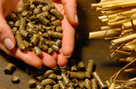 free Higher Dinting biomass boiler quotes